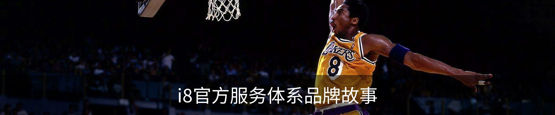 i8官方服务体系品牌故事